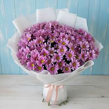 Букет цветов из:  Хризантемы в Зюкайка