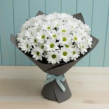 Букет цветов из:  Хризантемы #REPLACE_PRED# Зюкайка