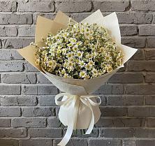Букет цветов из:  Ромашки в Зюкайка