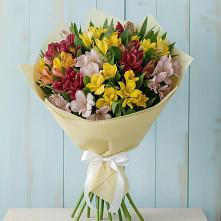 Букет цветов из:  Альстромерии #REPLACE_PRED# Зюкайка