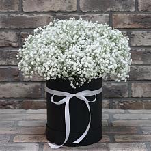 Цветочная композиция из Гипсофила в шляпной коробке в Зюкайка